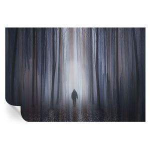 Papel parede adesivo silêncio da floresta 104x152 tulup