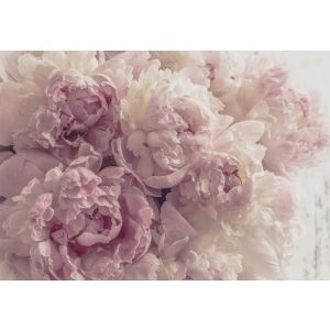 Papel de parede de flores rosa 250x175 não tecido fotomural para quarto