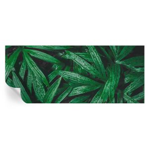Papel de parede vinílico vegetação natural 250x104 tulup