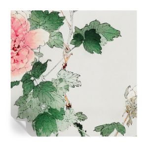 Papel de parede vinílico sutileza floral 250x250 tulup