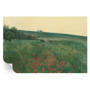 Papel de parede autocolante campos de papoulas 104x152 tulup