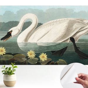 Papel de parede adesivo cisne e nenúfares 208x146 tulup