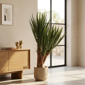 Planta artificial yuca premium 80 cm castanho e verde - naturing monde