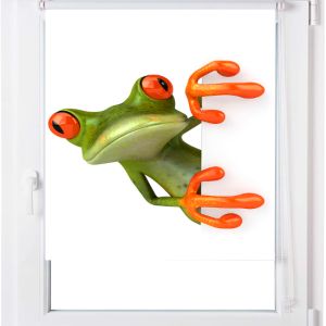 Estoralis | estor enrollable personalizado a-861 50x150 multicolor