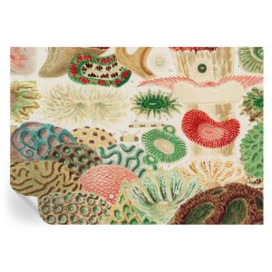Papel de parede vinílico formas orgânicas 208x146 tulup