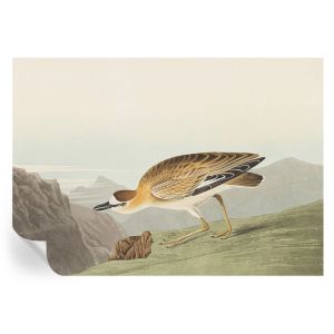 Papel de parede vinílico pássaro da montanha 208x146 tulup