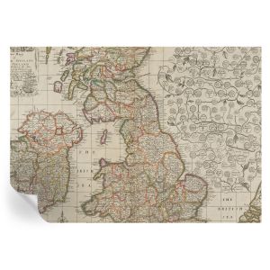 Papel de parede vinílico mapa antigo 208x146 tulup