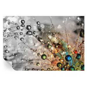 Papel de parede autocolante eu orvoo joias 104x152 tulup