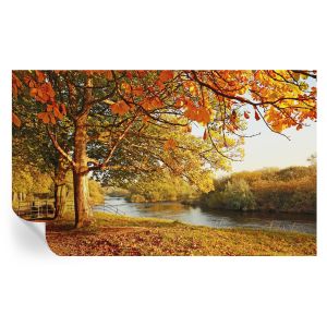 Papel parede adesivo outono costeiro 416x254 tulup