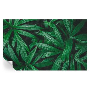 Papel de parede vinílico vegetação natural 416x254 tulup