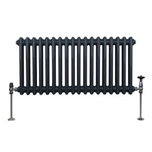 Radiador horizontal tradicional com 2 colunas 300mm x 832mm