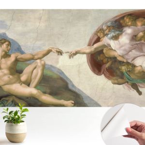 Papel de parede adesivo contato espiritual 250x250 tulup