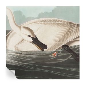 Papel de parede adesivo harmonia da natureza 250x250 tulup