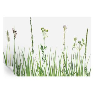 Papel de parede vinílico flora sutil 104x152 tulup