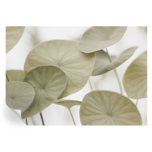 Papel de parede vinílico elegância natural 208x146 tulup