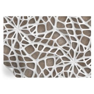 Papel parede adesivo rede de renda 208x146 tulup