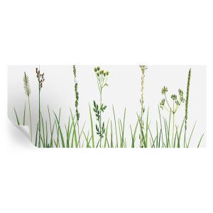 Papel de parede vinílico flora sutil 250x104 tulup