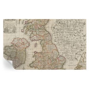 Papel de parede vinílico mapa antigo 416x254 tulup