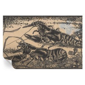 Papel de parede autocolante lagostins de água 104x152 tulup
