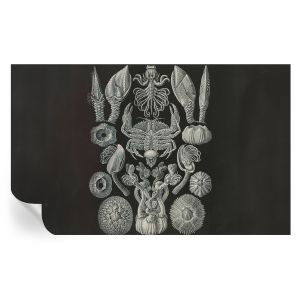 Papel parede adesivo formas subaquáticas 416x254 tulup