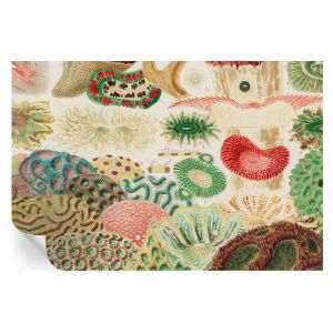 Papel de parede vinílico formas orgânicas 104x152 tulup