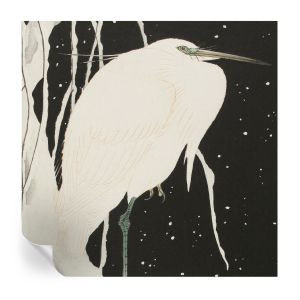 Papel de parede vinílico pássaro de inverno 250x250 tulup