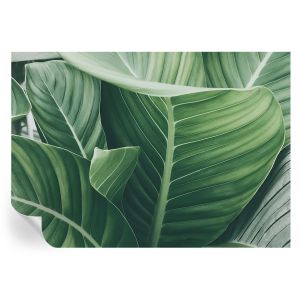 Papel parede adesivo paz verde 208x146 tulup