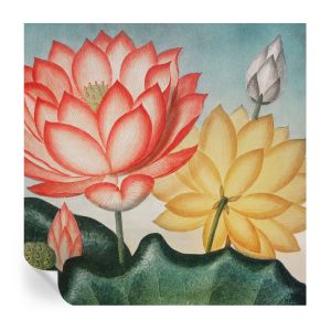 Papel de parede autocolante flores de lótus 250x250 tulup