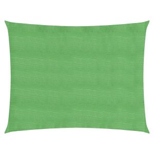vidaXL toldo de vela hdpe verde claro 160 g/m² 5x6 m