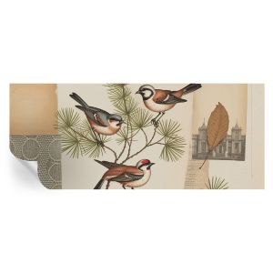 Papel parede adesivo colagem de pássaros 250x104 tulup
