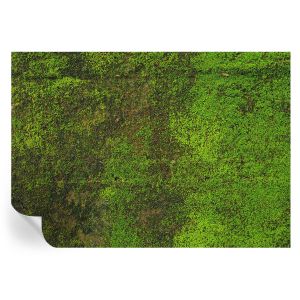 Papel de parede autocolante tapete verde 208x146 tulup