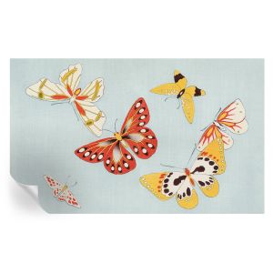 Papel de parede adesivo borboletas artísticas 416x254 tulup