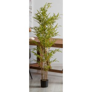 Planta de bambu, 165 cm.
