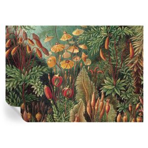 Papel parede adesivo jardim exótico 208x146 tulup