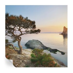 Papel de parede vinílico natureza pacífica 250x250 tulup