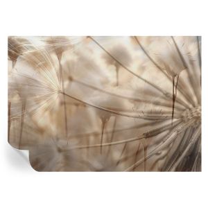 Papel parede adesivo dentes-de-leão sutis 208x146 tulup