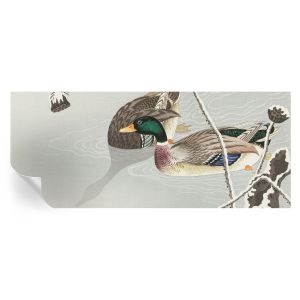 Papel de parede autocolante patos calmos 250x104 tulup