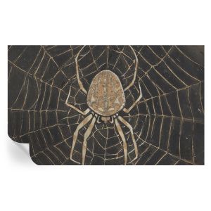 Papel de parede vinílico teia de aranha 416x254 tulup