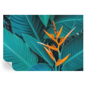 Papel de parede adesivo flores folhosas 208x146 tulup