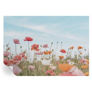 Papel parede adesivo flores de papoula 208x146 tulup