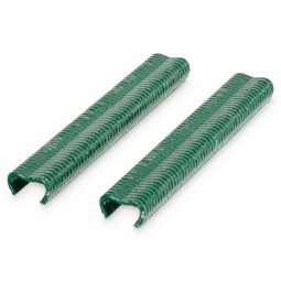 Grampos verdes Blooma
