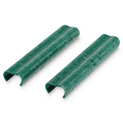 Grampos verdes Blooma
