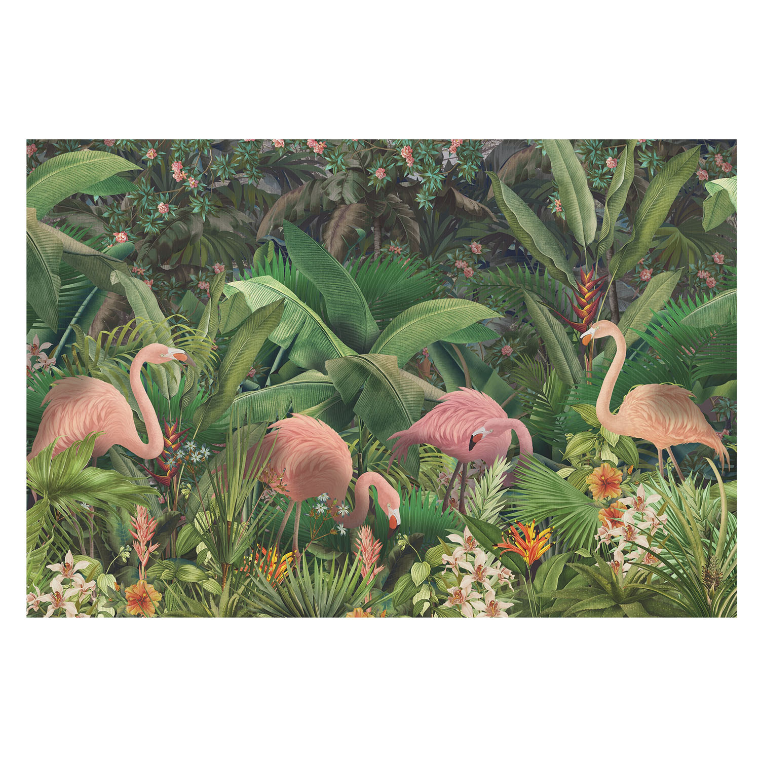 Papel de parede tnt 312x219 flamingos cor-de-rosa tulup