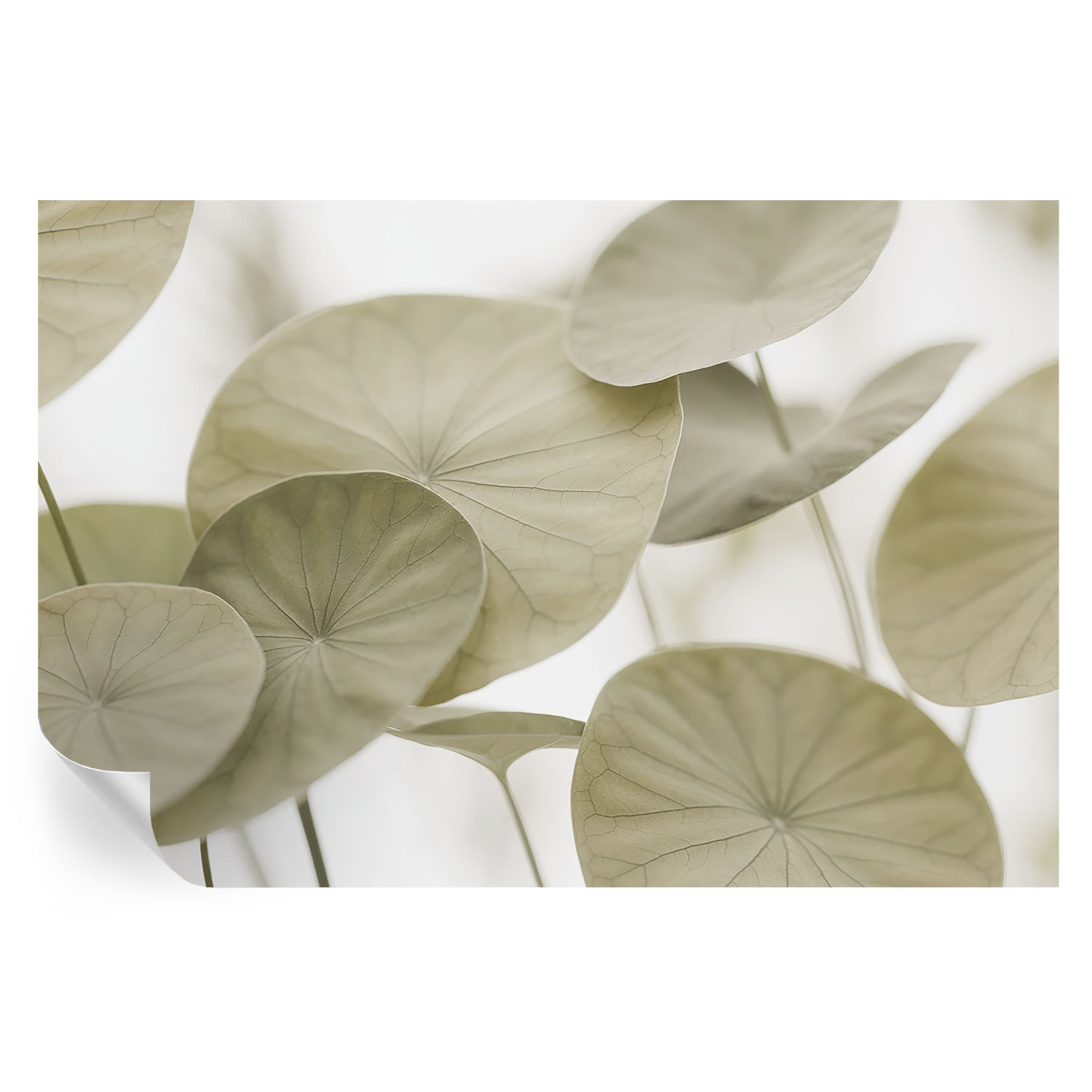 Papel de parede vinílico elegância natural 104x152 tulup