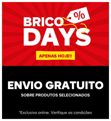 Brico Days